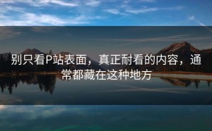 别只看P站表面，真正耐看的内容，通常都藏在这种地方