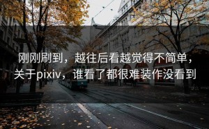 刚刚刷到，越往后看越觉得不简单，关于pixiv，谁看了都很难装作没看到