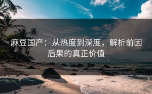 麻豆国产：从热度到深度，解析前因后果的真正价值
