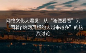 网络文化大爆发：从“随便看看”到“围着p站网页版的人越来越多”的热烈讨论