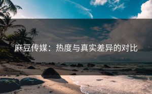 麻豆传媒：热度与真实差异的对比