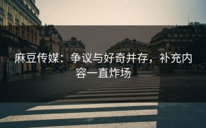 麻豆传媒：争议与好奇并存，补充内容一直炸场