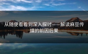 从随便看看到深入探讨——解读麻豆传媒的前因后果