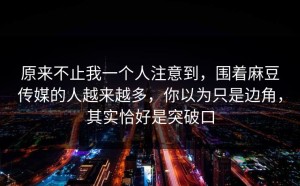 原来不止我一个人注意到，围着麻豆传媒的人越来越多，你以为只是边角，其实恰好是突破口