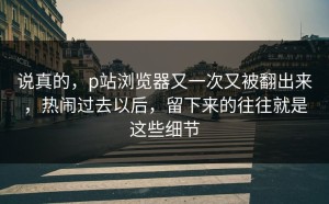说真的，p站浏览器又一次又被翻出来，热闹过去以后，留下来的往往就是这些细节