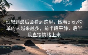 没想到最后会看到这里，围着pixiv榜单的人越来越多，前半段平静，后半段直接情绪上来