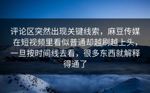 评论区突然出现关键线索，麻豆传媒在短视频里看似普通却越刷越上头，一旦按时间线去看，很多东西就解释得通了