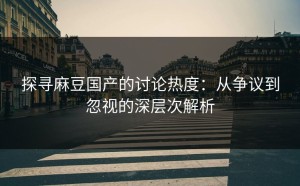 探寻麻豆国产的讨论热度：从争议到忽视的深层次解析