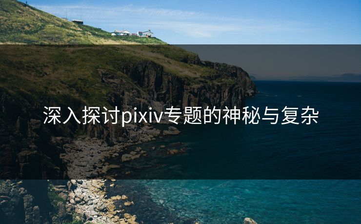 深入探讨pixiv专题的神秘与复杂