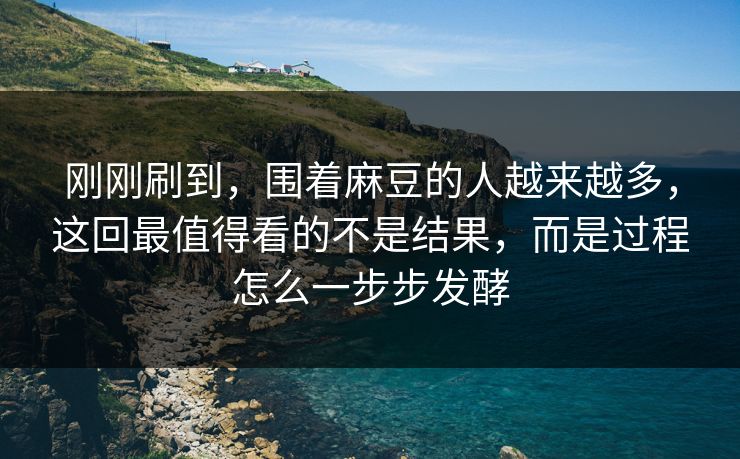刚刚刷到，围着麻豆的人越来越多，这回最值得看的不是结果，而是过程怎么一步步发酵