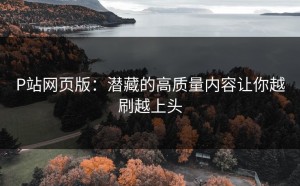 P站网页版：潜藏的高质量内容让你越刷越上头