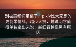别被高频词带偏了，pixiv比大家想的更能带情绪，越少人提，越说明它值得单独拿出来说，越细看越像另有原因
