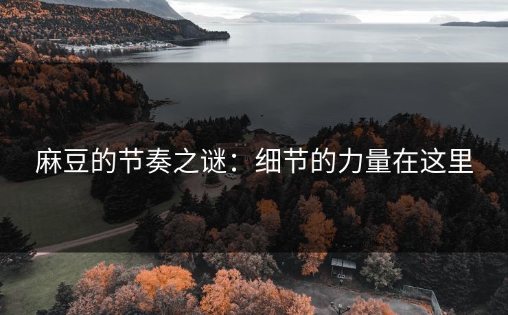 麻豆的节奏之谜：细节的力量在这里
